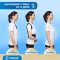 Корректор осанки (корсет) для взрослых "Польза", 0506 0506
