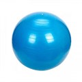 Гимнастический мяч ORTO Body Boll с BRQ Bodi Boll