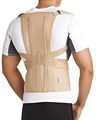 Корректор осанки (корсет) TLSO-250(А) Orlett Medical Line. TLSO-250(A)
